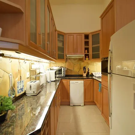 Downtown Near Synagogue Budapesta