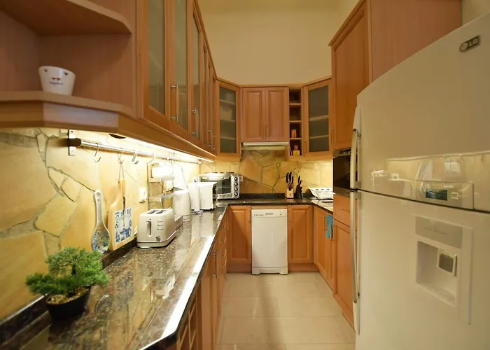 Downtown Near Synagogue Budapesta